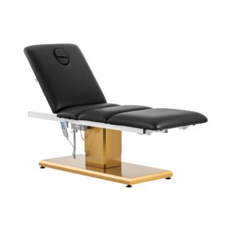 Hoitotuoli – 300 W – 150 kg – musta/kullanvärinen