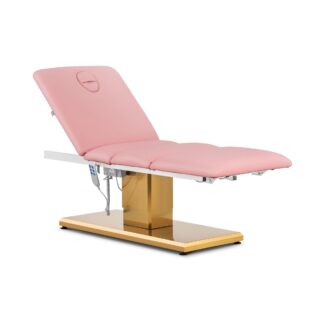 Hoitotuoli – 300 W – 150 kg – vaaleanpunainen/kullanvärinen Hoitotuoli – 300 W – 150 kg – vaaleanpunainen/kullanvärinen