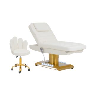 Sähkökäyttöinen hoitopöytä & rullajakkara selkänojalla – 200 kg – valkoinen/kullanvärinen – lämmitettävä Sähkökäyttöinen hoitopöytä & rullajakkara selkänojalla – 200 kg – valkoinen/kullanvärinen – lämmitettävä
